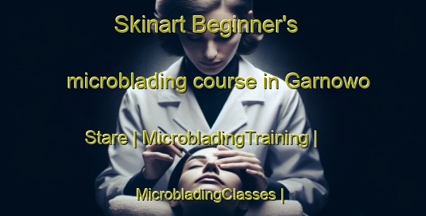 Skinart Beginner's microblading course in Garnowo Stare | MicrobladingTraining | MicrobladingClasses | SkinartTraining-Poland